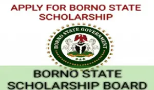 Borno State Scholarship