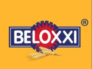 beloxxi recruitment