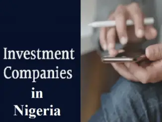 Investment Companies in Nigeria
