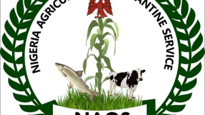 NAQS, Nigeria Agricultural Quarantine Service