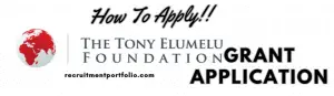 Tony Elumelu Foundation, Tony Elumelu