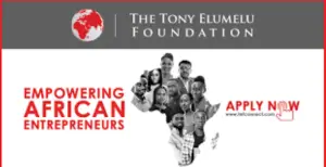 Tony Elumelu Foundation Grant