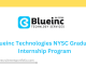 Blueinc Technologies NYSC