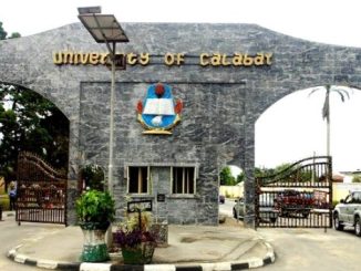 How to Check Results in UNICAL Portal