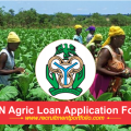 CBN Agric Loan Application Form