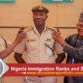 Nigeria Immigration Ranks and Symbols