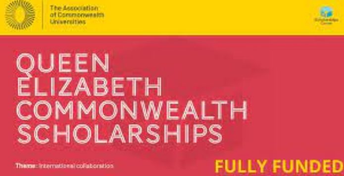 Queen Elizabeth Commonwealth Scholarship Application (2024)