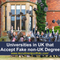 Universities in UK that accept fake non-uk degree