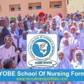 YOBE School Of Nursing Form