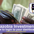 Wazobia Investment - How to login to your dashboard