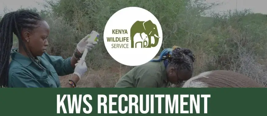 KWS Recruitment