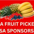 Visa Sponsorship Fruit Picking Jobs In Canada (Apply Now)